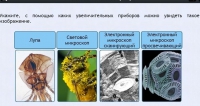 Интерактивные курсы. Биология 5 класс. Расширенный - fgospostavki.ru - Касимов