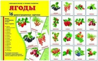 Демонстрационные карточки "Ягоды" - fgospostavki.ru - Касимов