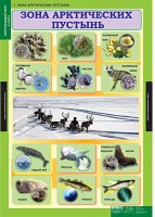 Комплект таблиц. Окружающий мир 4 класс. - fgospostavki.ru - Касимов