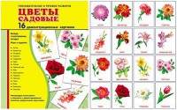 Демонстрационные карточки "Цветы садовые" - fgospostavki.ru - Касимов