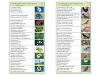 Комплект карточек (10) "Обучающий калейдоскоп. Природа" - fgospostavki.ru - Касимов