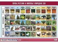 Таблица демонстрационная "Почвы, растения и животные природных зон" (винил 70*100) - fgospostavki.ru - Касимов