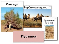 Модель-аппликация "Природные зоны России" (ламинированная) - fgospostavki.ru - Касимов