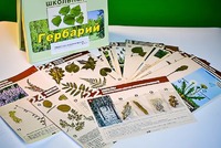 Гербарий к курсу основ общей биологии - fgospostavki.ru - Касимов