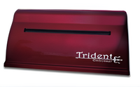 Принтер для печати рельефно-точечным шрифтом Брайля Trident - fgospostavki.ru - Касимов