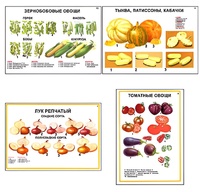 Плакаты ПРОФТЕХ "Ассортимент овощных культур" (12 пл, винил, 70х100) - fgospostavki.ru - Касимов