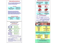 Плакаты ПРОФТЕХ "Классификации и виды мяса" (4 пл, винил, 70х100) - fgospostavki.ru - Касимов