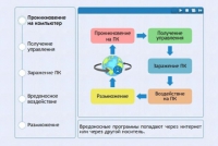 Интерактивные курсы. Информатика 10 класс . Базовый. - fgospostavki.ru - Касимов