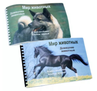 Пособие для слабовидящих - Домашние животные - fgospostavki.ru - Касимов