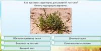 Интерактивные курсы. Окружающий мир 3 класс . Базовый. - fgospostavki.ru - Касимов