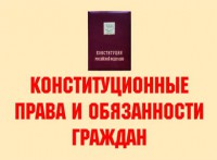 Комплект плакатов "Конституционные права и обязанности граждан" - fgospostavki.ru - Касимов