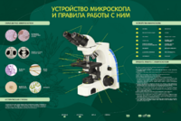 Электрифицированный стенд "Устройство микроскопа и правила работы c ним" - fgospostavki.ru - Касимов