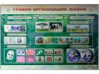 Электрифицированный стенд "Уровни организации жизни" - fgospostavki.ru - Касимов