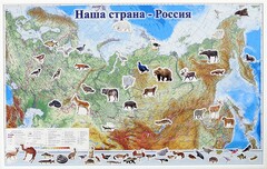 Магнитные карточки "Животные" - fgospostavki.ru - Касимов