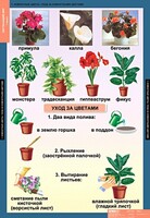 Комплект таблиц. Окружающий мир 1 класс. - fgospostavki.ru - Касимов