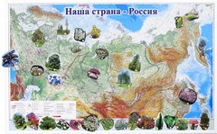 Магнитные карточки "Растения" - fgospostavki.ru - Касимов