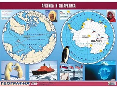 Таблица демонстрационная "Арктика и Антарктика" (винил 100*140) - fgospostavki.ru - Касимов