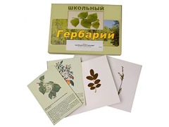 Гербарий "Деревья и кустарники" (22 вида, с иллюстрациями) - fgospostavki.ru - Касимов