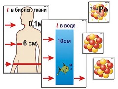 Модель-аппликация "Явление радиоактивности" (ламинированная) - fgospostavki.ru - Касимов