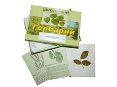 Гербарий "Дикорастущие растения" (30 видов, с иллюстрациями) - fgospostavki.ru - Касимов