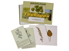 Гербарий "Лекарственные растения" (22 вида с иллюстрациями) - fgospostavki.ru - Касимов