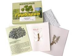 Гербарий "Водоросли. Грибы. Лишайники" (раздаточный) - fgospostavki.ru - Касимов