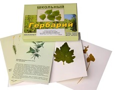 Гербарий "Систематика растений. Высшие споровые и семенные" (раздаточный) - fgospostavki.ru - Касимов