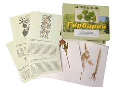 Гербарий "Систематика растений. Семейство Бобовые. Злаки" (раздаточный) - fgospostavki.ru - Касимов