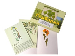 Гербарий "Систематика растений. Семейство Пасленовые. Крестоцветные. Сложноцветные" (раздаточный) - fgospostavki.ru - Касимов