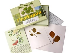 Гербарий "Систематика растений. Семейство Розоцветные" (раздаточный) - fgospostavki.ru - Касимов