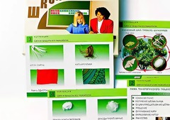 Коллекция "Шелк и продукты его переработки" (средняя школа) - fgospostavki.ru - Касимов