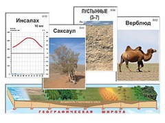 Модель-аппликация "Природные зоны" - fgospostavki.ru - Касимов