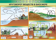 Таблица "Круговорот веществ в биосфере" (100х140 сантиметров, винил) - fgospostavki.ru - Касимов