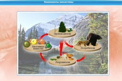 Интерактивные курсы. Биология 7 класс. Базовый. - fgospostavki.ru - Касимов