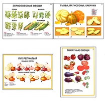 Плакаты ПРОФТЕХ "Ассортимент овощных культур" (12 пл, винил, 70х100) - fgospostavki.ru - Касимов