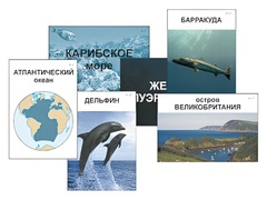 Модель-аппликация "Океаны. Знакомство" (ламинированная) - fgospostavki.ru - Касимов