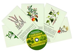 Интерактивный наглядный комплекс "Гербарий "Для начальной школы" - fgospostavki.ru - Касимов