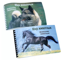 Пособие для слабовидящих - Домашние животные - fgospostavki.ru - Касимов