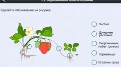 Интерактивные курсы. Биология 7 класс. Расширенный. - fgospostavki.ru - Касимов