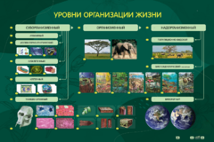 Электрифицированный стенд "Уровни организации жизни" - fgospostavki.ru - Касимов