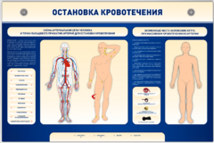 Электрифицированный стенд-тренажер "Остановка кровотечения" - fgospostavki.ru - Касимов