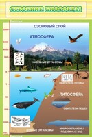 Стенд "Строение биосферы" - fgospostavki.ru - Касимов