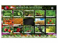 Комплект оборудования "Живой уголок" (растения) - fgospostavki.ru - Касимов