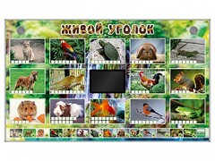 Комплект оборудования "Живой уголок" (животные) - fgospostavki.ru - Касимов