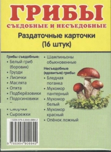 Раздаточные карточки "Грибы съедобные и не съедобные" - fgospostavki.ru - Касимов