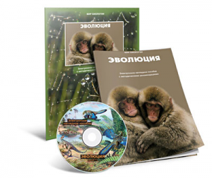 Электронное наглядное пособие «Эволюция» - fgospostavki.ru - Касимов