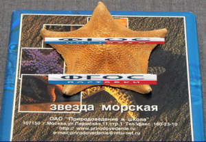 Сухой препарат "Звезда морская" - fgospostavki.ru - Касимов
