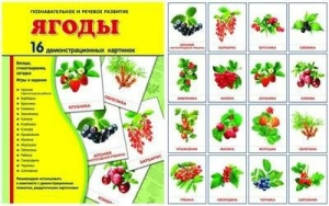 Демонстрационные карточки "Ягоды" - fgospostavki.ru - Касимов