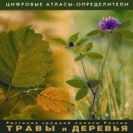 Растения средней полосы России "Травы и Деревья". (Цифровые атласы-определители) - fgospostavki.ru - Касимов
