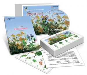 Комбинированное наглядное пособие «Растения» - fgospostavki.ru - Касимов